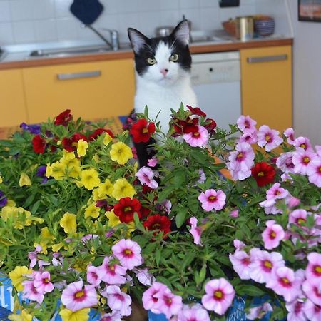 Gli Anemoni B&B Free Parking Cenova Dış mekan fotoğraf